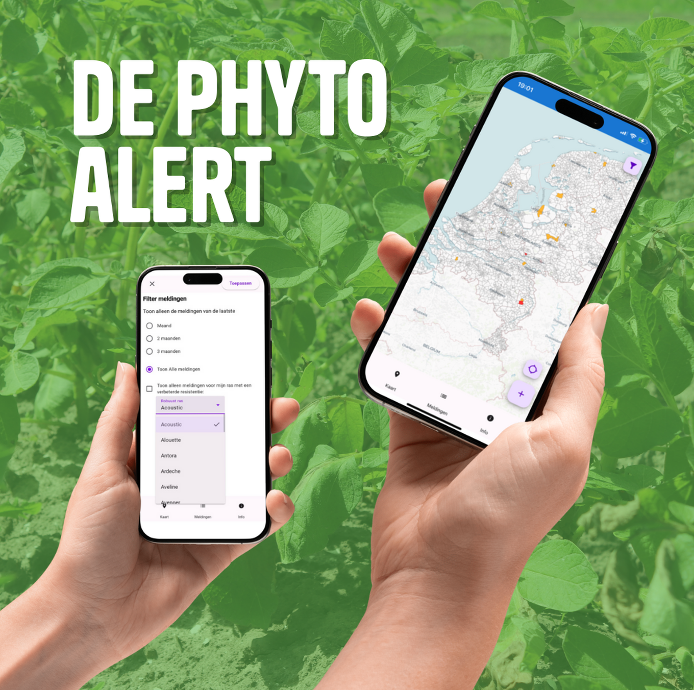 Afbeelding Phyto Alert
