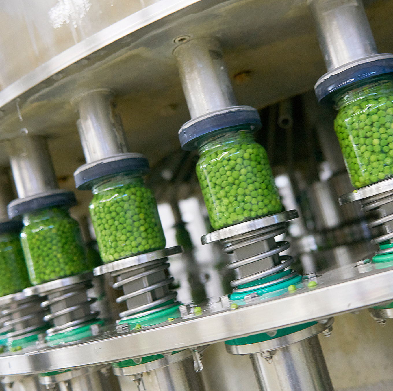 Verspillingsaanpak biosector 1