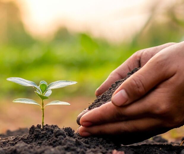 Soil 8166778 1280