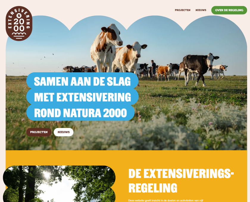 Website afbeelding extensiveringswebsite