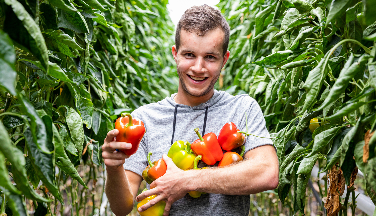 Agenda organic action day 2026