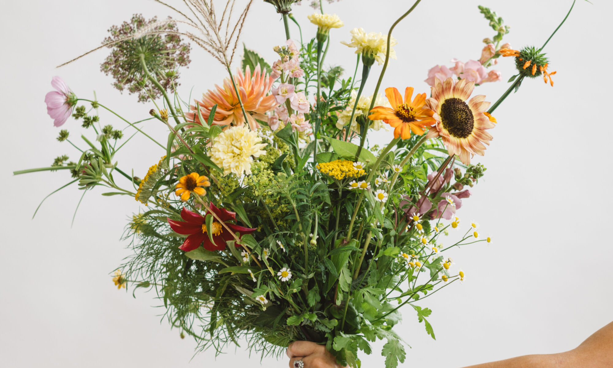 Foto bloemen Wilderful
