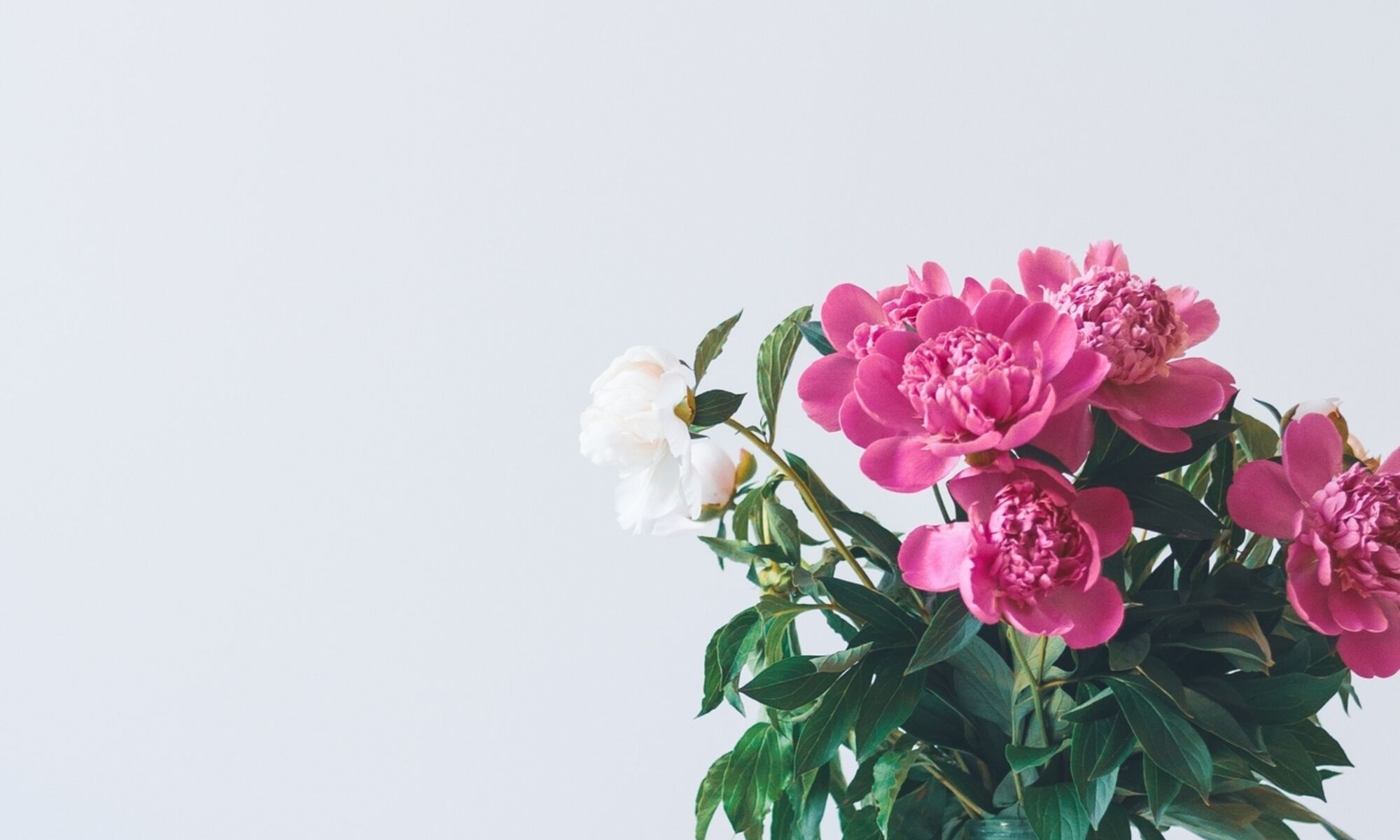 Olia gozha Dwi Qf Dwc97 E unsplash
