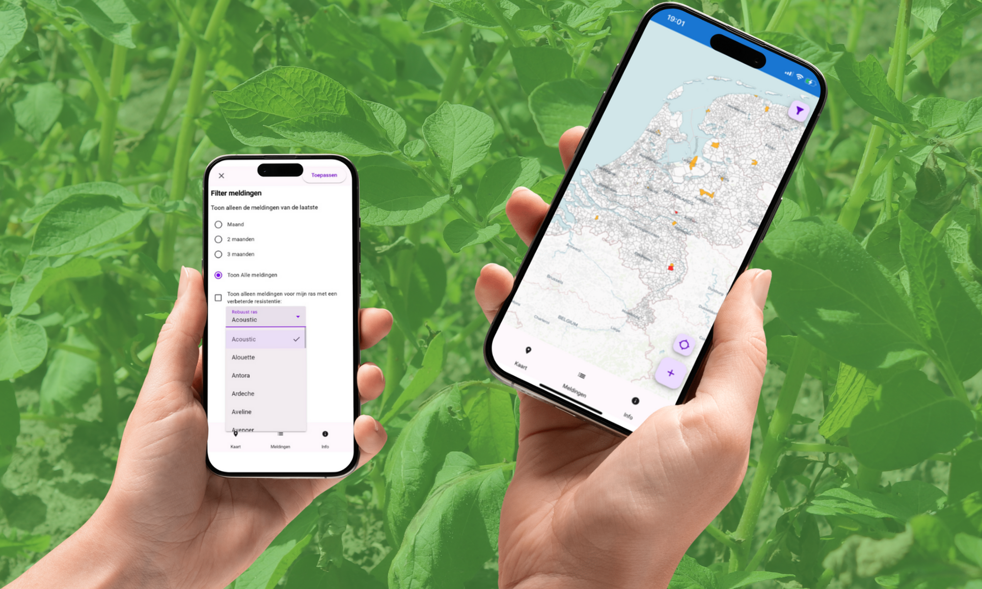 Hero website Phyto Alert