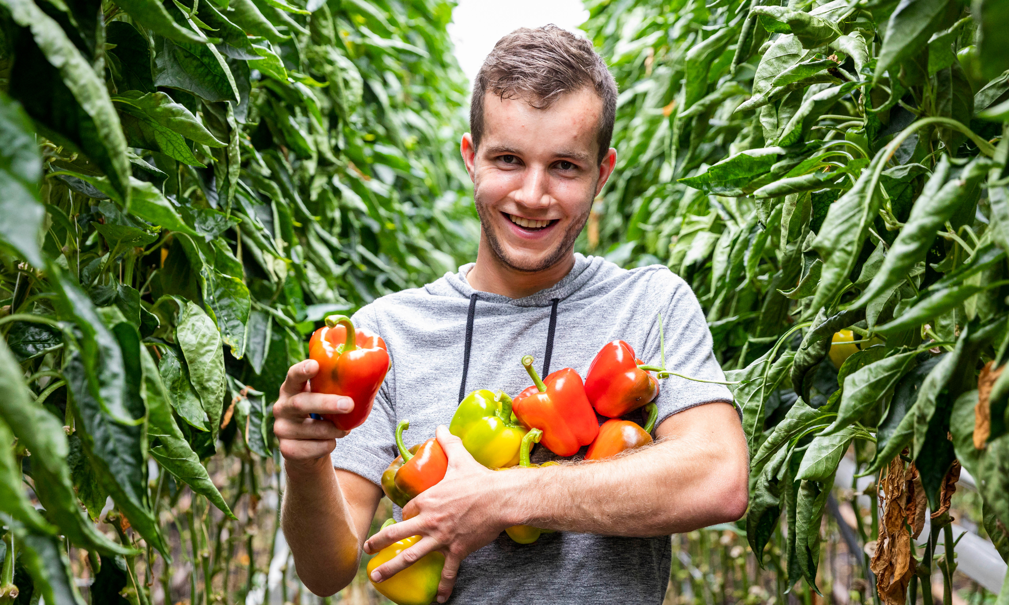 Agenda organic action day 2026