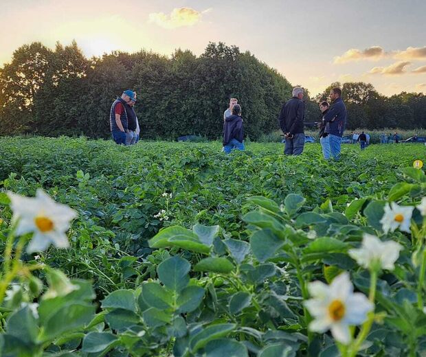 20260721 robuuste rassen demoveld aardappels erf akker publiek bloem 13