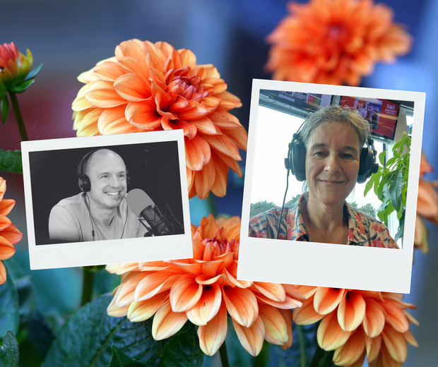 Website afbeeldingen