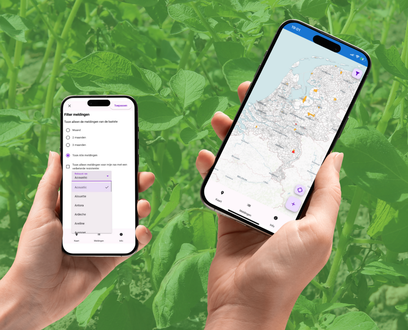 Hero website Phyto Alert